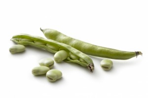 broad beans pod and beans_0